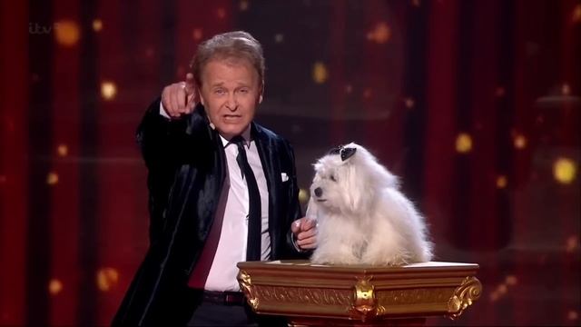 Marc Métral and talking dog Wendy Britain's Got Talent 2015 Semi Finals｜GTF смотреть онлайн