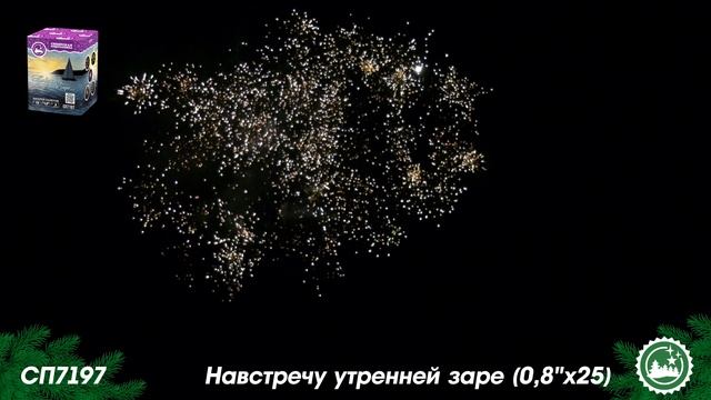 СП7197 смотреть онлайн