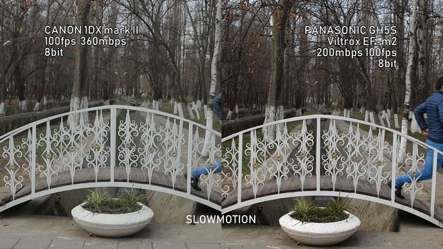 4K PANASONIC GH5S VS CANON 1DX MARK ii. LOWLIGHT/ SLOWMOTION/AUTOFOCUS/SHARPEN
