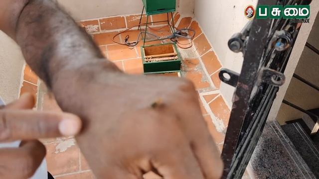 சுத்தமான தேனை நீங்களே உற்பத்தி செய்யலாம் ! honey manufacturing process смотреть онлайн