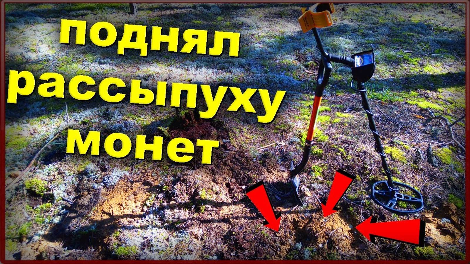 Всё поле усыпано чешуёй древний перстак шикарные находки имперские монеты смотреть онлайн