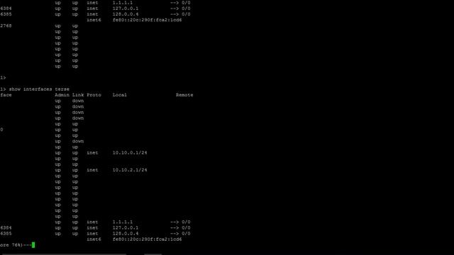 Show Description of Interfaces in Juniper смотреть онлайн