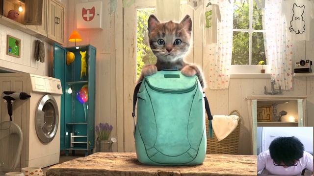 Special Little Kitten On The Great Adventure Long Journey - Cute Kitten and Friend Elite Style смотреть онлайн