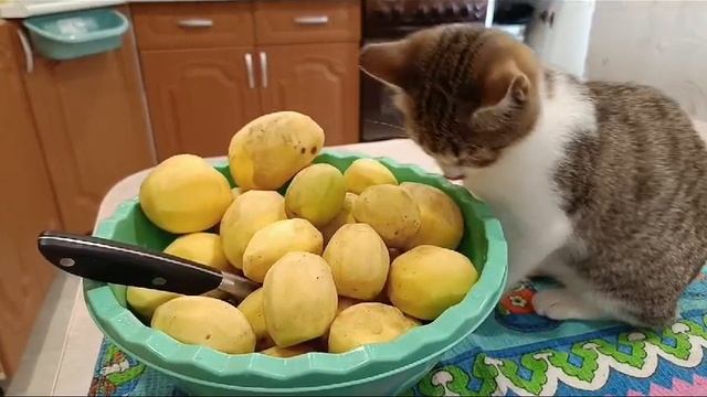 Ты не Ты когда голоден смотреть онлайн