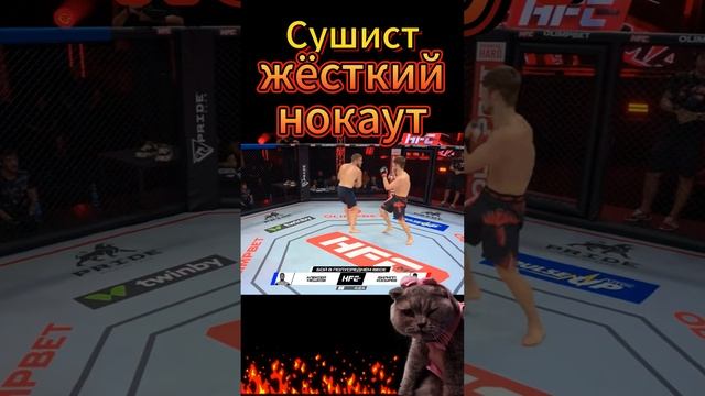 Сушист.Жёсткий нокаут. смотреть онлайн