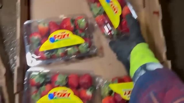 Dumpster Diving Aldi #355 Free Grocery Shopping! смотреть онлайн