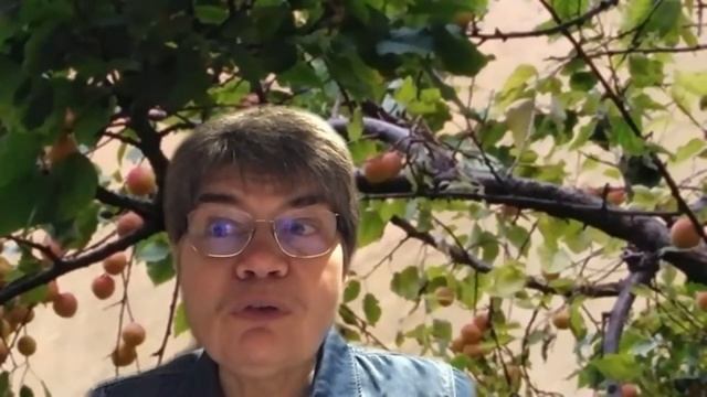 Юмористические рассказы Аркадия Аверченко для настроения. смотреть онлайн