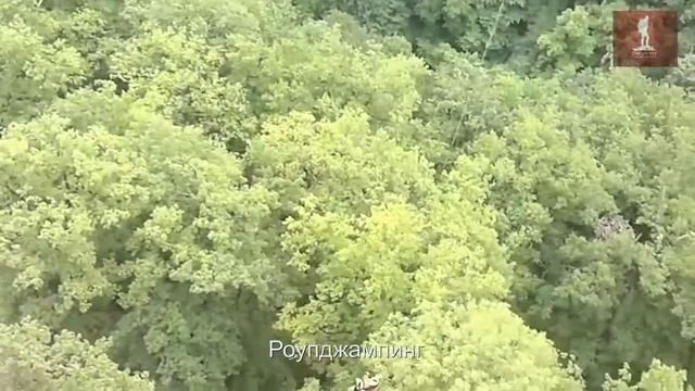 Роупджампинг смотреть онлайн