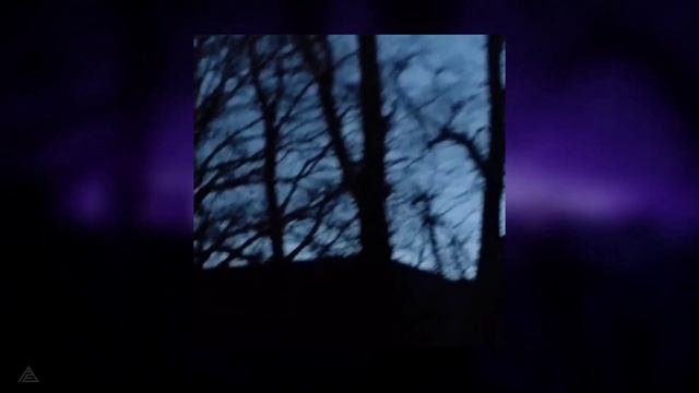 Alight Motion Shake Preset Pack 2023 || XML File Montage, Gaming, Video Editing Presets смотреть онлайн