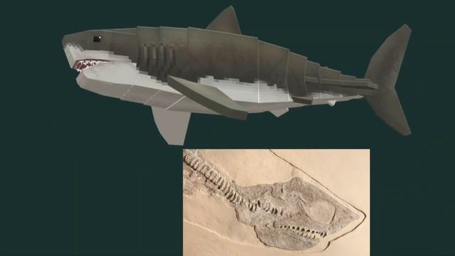 Minecraft BECRETOXYRHINA Ginsu Shark - model  animation showcase Dinosaur Kingdom addon