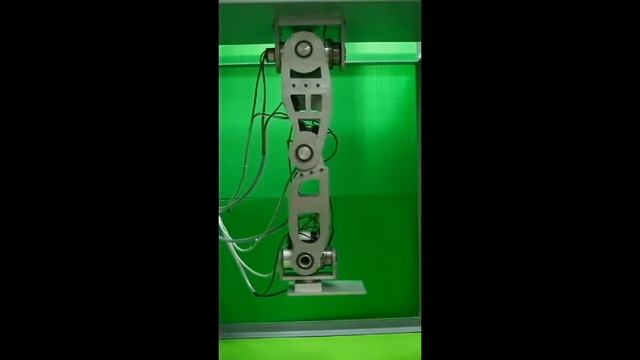 Design and Realization of a Linux-RTAI-Based Robotic Leg смотреть онлайн