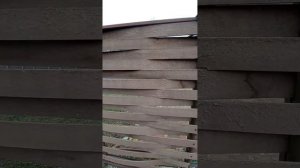 забор из ДПК. спустя 5 лет.