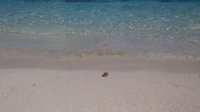 Мальдивы, Остров Тодду, island Thoddoo, Приключения крабика мальдивы смотреть онлайн