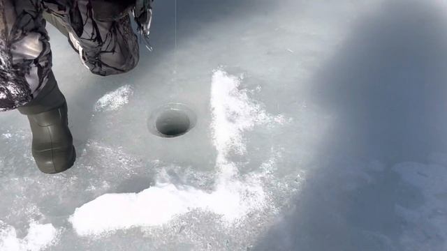 27 марта 2023 г. смотреть онлайн