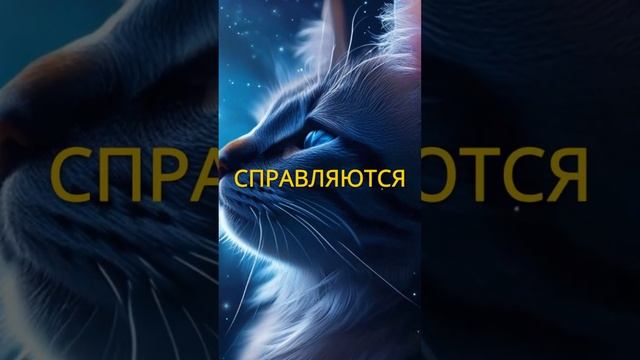 Кошки знака зодиака Весы. #гороскоп #психология смотреть онлайн