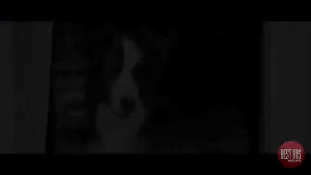 Jeep Compass- Every Dog Has Its Jeep Advertisement смотреть онлайн