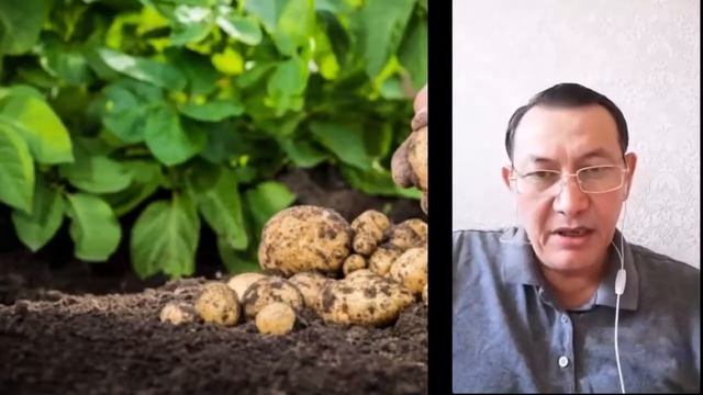 #CROWD1Инвестор и бизнесмен Аблай Муханжаров смотреть онлайн