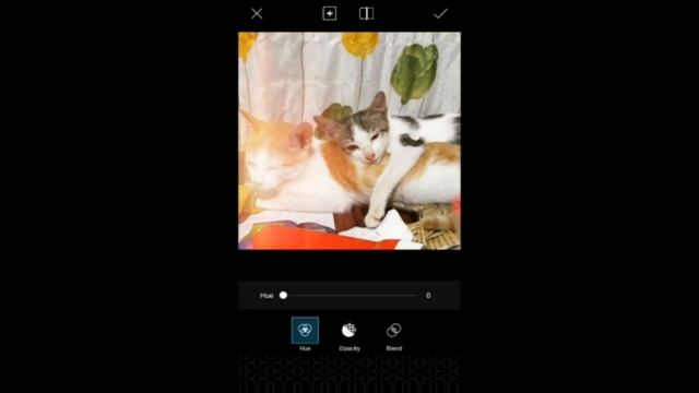 HUJI CAM FOR ANDROID смотреть онлайн