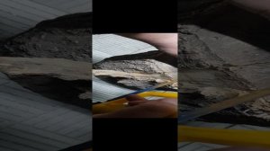 вскрытие модуля индикации (табло) от холодильника Samsung RL34 da97-05486k дубль1.(рукажеп мод) ark