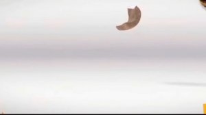 KELLOGGS TRÉSOR AND KELLOGGS KRAVE YUM YUM COMMERCIAL HOME BUSINESS TRÉSOR/KRAVE YUM YUM