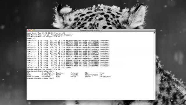 Code Snippets with Dropbox смотреть онлайн