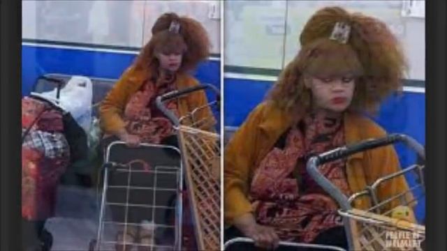 fearless freddie discovers rare animals смотреть онлайн