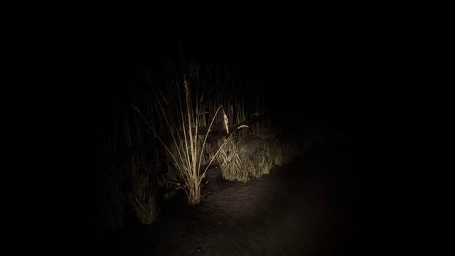 Deep Sleep: The Beginning Full Gameplay Walkthrough - No Commentary смотреть онлайн