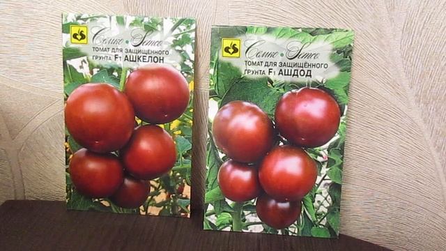 Гибриды томатов АШДОТ И АШКЕЛОН буду тестировать летом 2020.02.11.2019