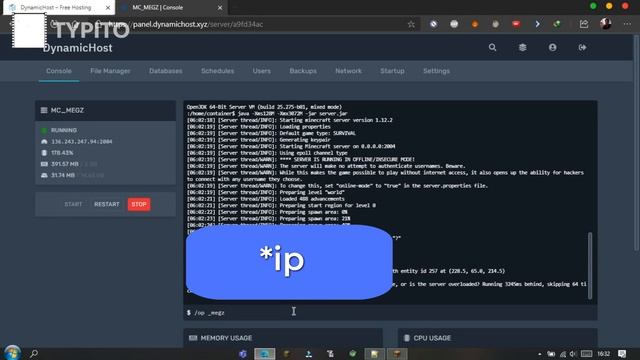 How to use custom server.jar's on DynamicHost смотреть онлайн