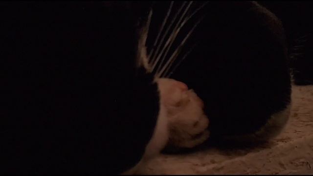 nokia 5.4 h-log | nokia cinema editor rec 709 | afternoon | vn app | android 12 смотреть онлайн