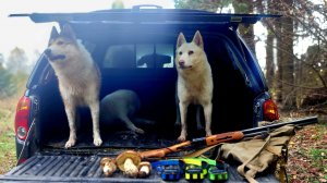 Начал сезон охоты с лайками