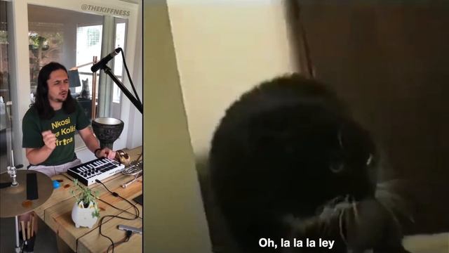 1 HOUR Oh Long Johnson x The Kiffness Talking Cat Live Looping Reggae Remix смотреть онлайн