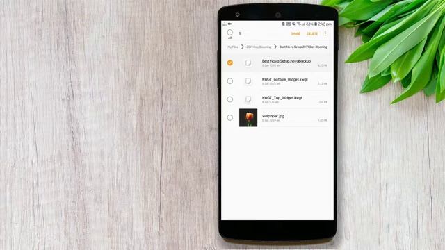The Best Nova Launcher Setups 2019| Day Blooming смотреть онлайн