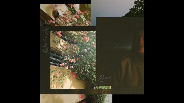 Raelee Nikole - Slow (Official Audio) смотреть онлайн