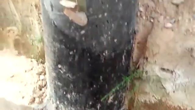 крыльцо из арболита смотреть онлайн