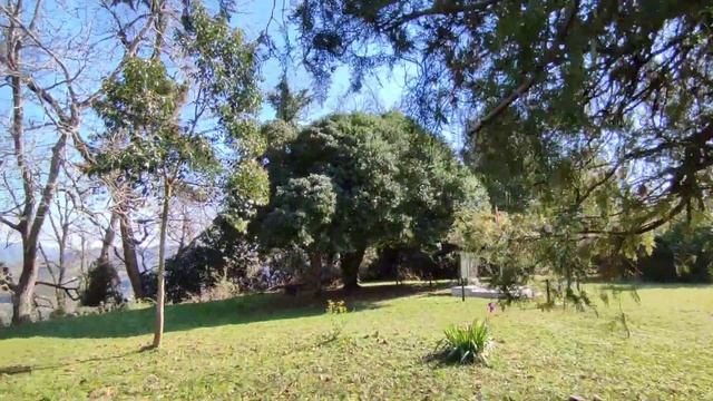 МИД РФ назвал Абхазию ОПАСНОЙ Сухум2024. Медицина в Абхазии. Сухумская Гора.  Абхазия2024