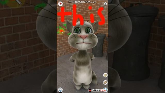 talking tom 2.0 running on bluestacks смотреть онлайн