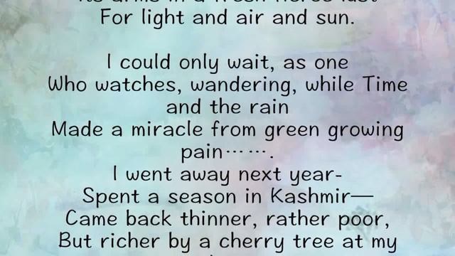 The Cherry Tree By Ruskin Bond смотреть онлайн