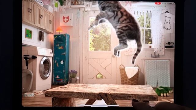 MY PET LITTLE KITTEN ADVENTURE 🐈😾 BEST ANIMAL EDUCATIONAL VIDEO FOR TODDLERS смотреть онлайн