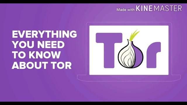 How to access dark web on your Android mobile or smartphone смотреть онлайн