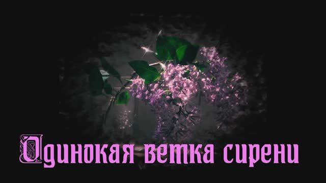 Ветка сирени - Валерий Залкин смотреть онлайн