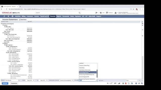 NetSuite User Roles Overview | Complete ERP Walkthrough | GURUS Solutions Webinar смотреть онлайн