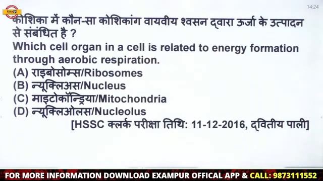 HSSC CET 2022 | Science | Cell | Haryana CET Practice Batch | Science by Purnima Mam смотреть онлайн