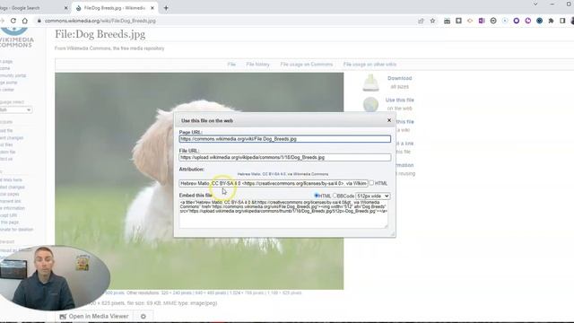 How to Correctly Use Google Images to Find Pictures for Your Projects смотреть онлайн