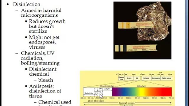 6 1 control of microbial growth смотреть онлайн