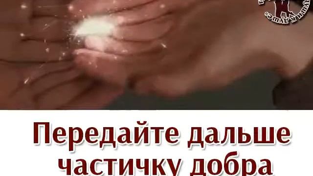 Моё домашнее видео смотреть онлайн