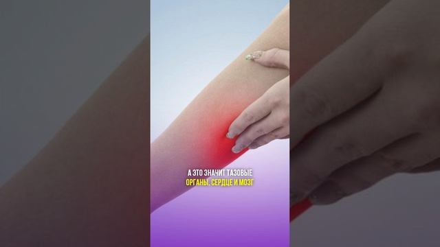 Профилактика тромбов при варикозе #shorts #бубновский #упражнения #здоровье смотреть онлайн