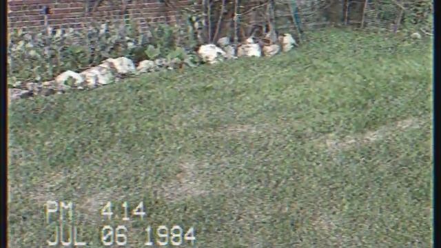 VHS cam app. Android. смотреть онлайн
