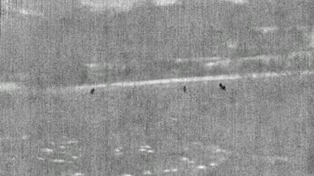 Therm-App Infrared Nightvision - Deer Spotting смотреть онлайн