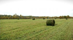 В Тверской области завершается уборочная кампания